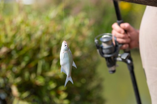 Fishing Lake