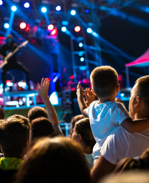 Concert crowd